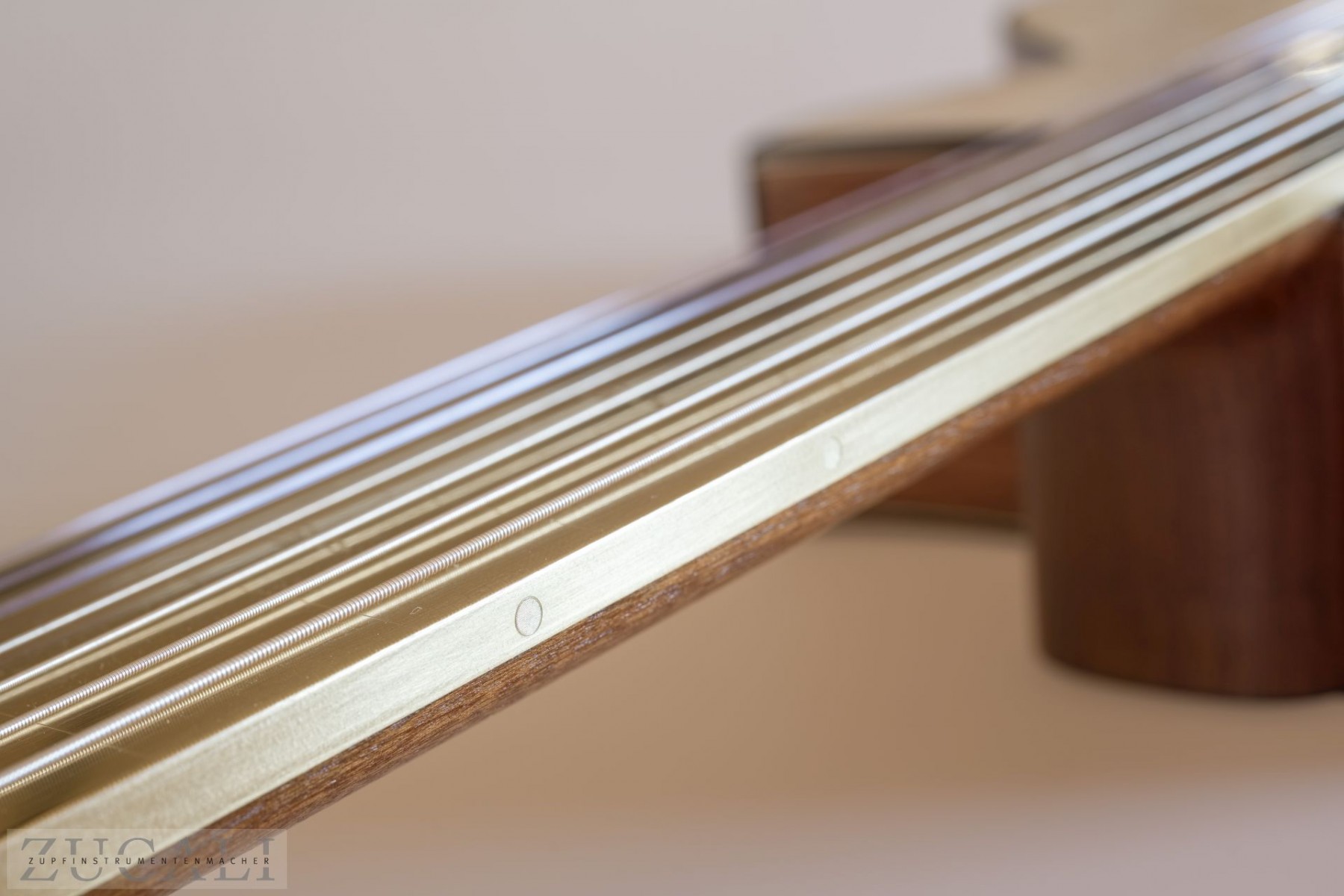 Fingerboard binding and side dot