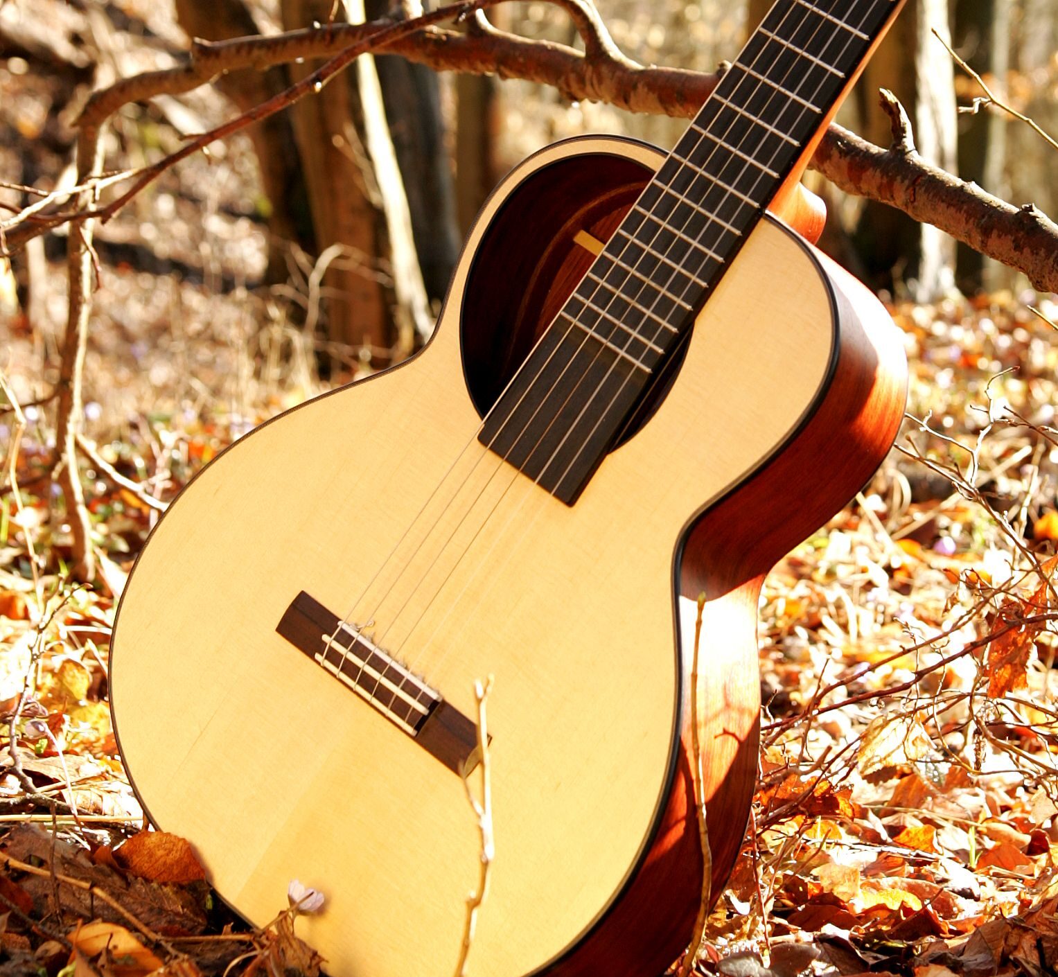 Classical Guitar Santiago